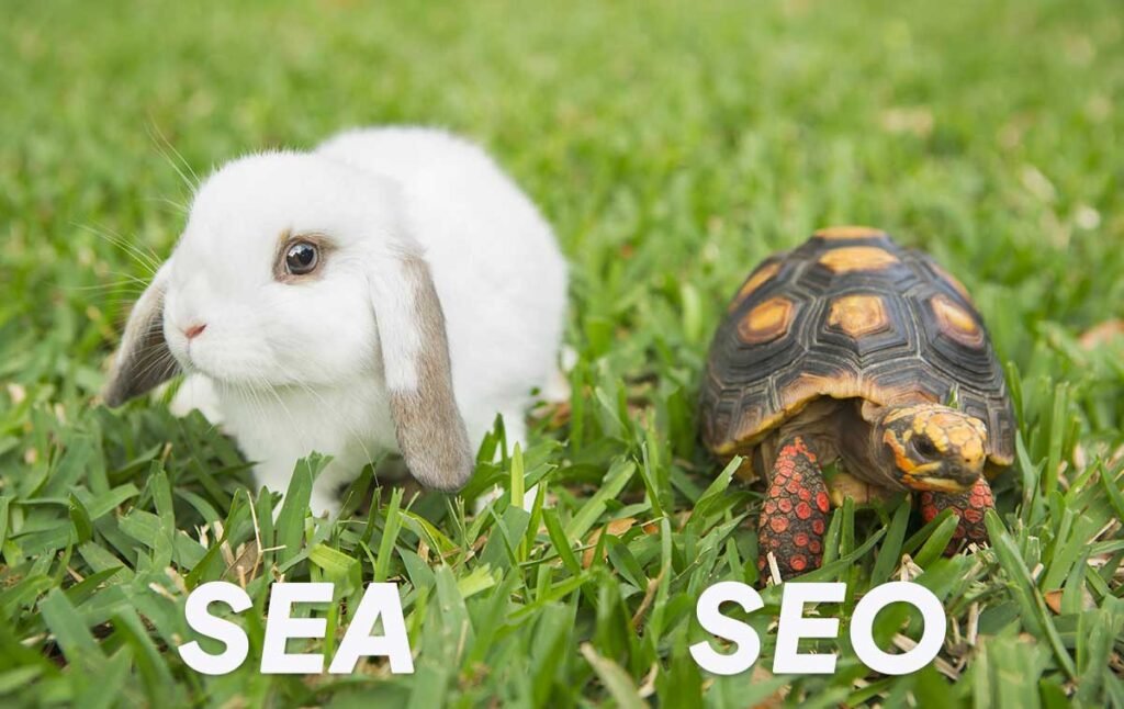 Comparaison entre le SEO et le SEA avec la fable du lièvre et de la tortue